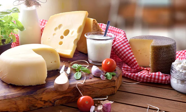 Crèmerie artisanale, Bourg-en-Bresse, Fromagerie Crèmerie Comas